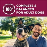 Purina Dog Chow Tender and Crunchy with Real Lamb and Turkey Flavor Adult Dry Dog Food, 30 lb Bag