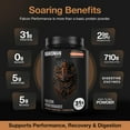 thumbnail image 4 of BIRDMAN Falcon Performance Vegan Protein Powder with Creatine, Chocolate Flavor, 19 Servings, 1.98lb, 4 of 10