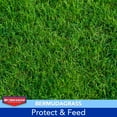 thumbnail image 4 of BioAdvanced 3-In-1 Weed and Feed for Southern Lawns, Granules, 12.5 LB, 5,000 SQ FT, 4 of 7