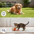 2026 New Interactive Smart Rolling Pet Ball – Motion-Activated Squeaky ...