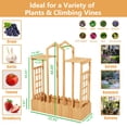 thumbnail image 5 of Large Raised Garden Bed with Trellis for Vine Climbing Plants- Wood Planter Box, 5 of 6
