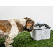 Paw Perfect Pet Water Fountain Portable Pet Fountain BPA Free