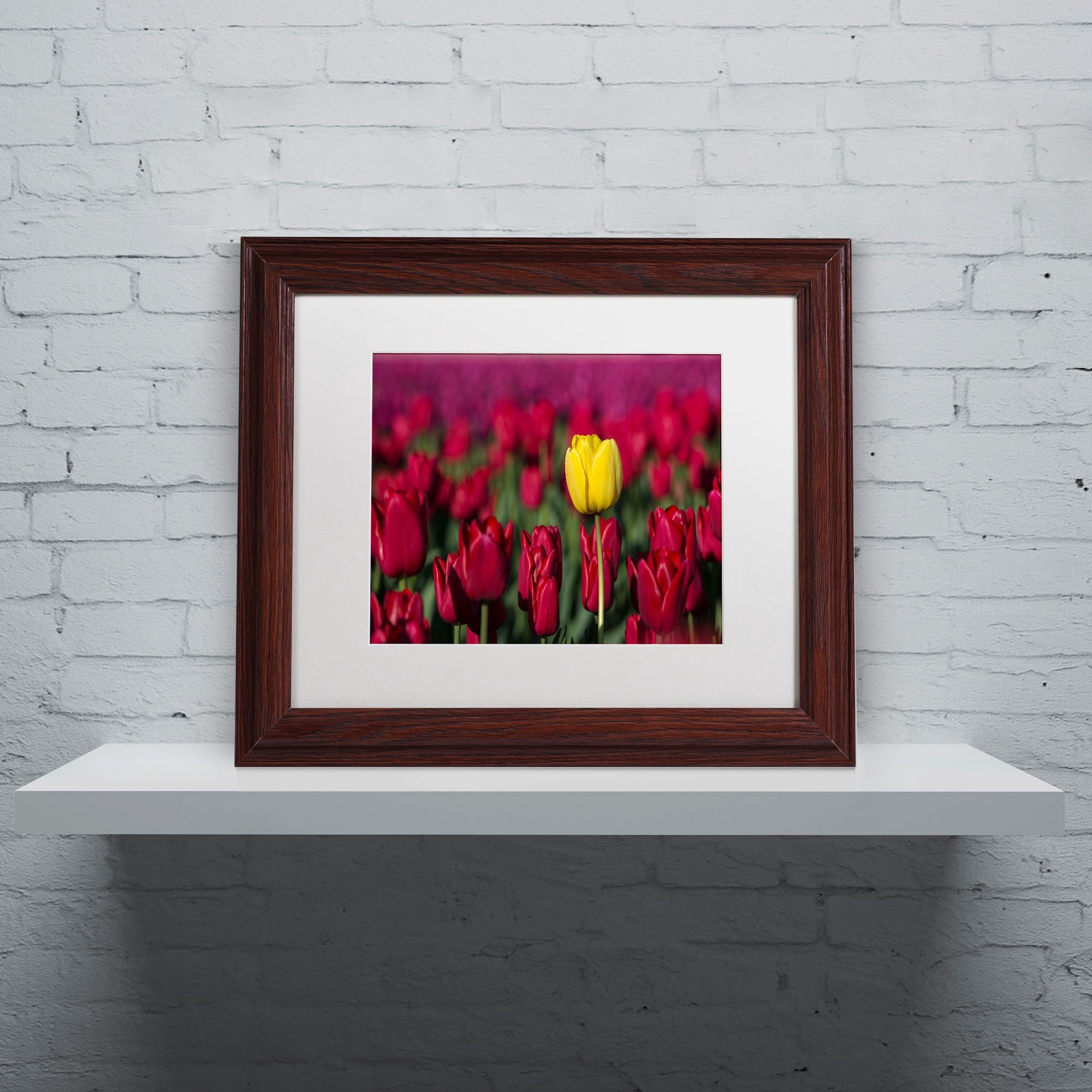 Trademark Fine Art "Yellow Tulip" Canvas Art by Pierre Leclerc, White Matte/Wood Frame