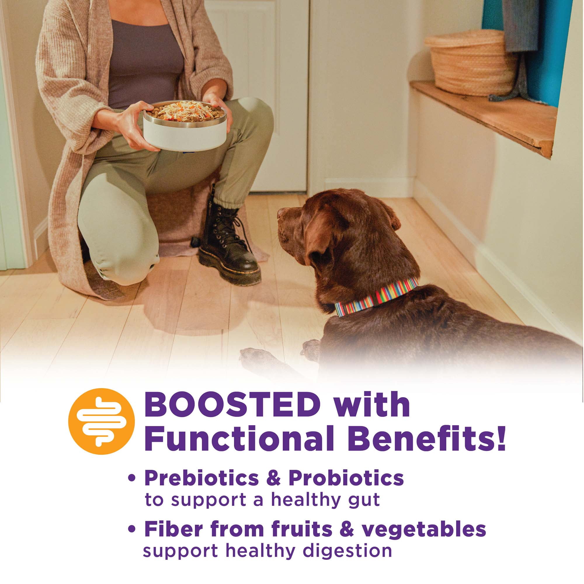 Wellness Bowl Boosters, Dog Food Topper for Small, Medium, & Large Breeds, Grain Free, Natural, Freeze Dried, Digestive Health Chicken, 4 Ounce Bag (Pack of 1)