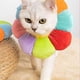 thumbnail image 4 of Collar Para Mascotas Multicolor M Jormftte 220305-4, 4 of 7