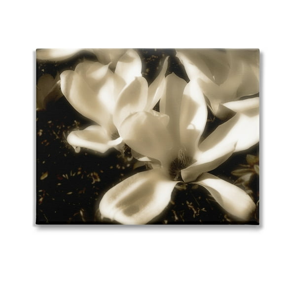 Stupell Industries Plant Petals in Nature Botanical & Floral Photography Gallery Wrapped Canvas Art Print Wall Art, 20 x 16