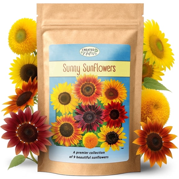 Sunflower Seeds to Plant, 9-Variety Sunflower Seed Mix, 1,000 Seeds - Created By Nature