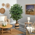 thumbnail image 3 of Nearly Natural 5.5' Palace Ficus Artificial Tree in Handmade Natural Cotton Planter, 3 of 3