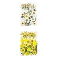 thumbnail image 1 of 2 × Flores Prensadas Secas para Flores Prensadas Fabricación de Jabón para álbumes de Recortes, 1 of 9
