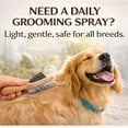 thumbnail image 5 of Coconut Coast Doggie Detangler Spray, 6 oz – Leave-In Dog Grooming Spray for Tangles & Mats, Coat Shine & Softness, Gentle Daily Use for All Breeds, 5 of 8