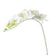 thumbnail image 2 of Orquídea artificial para decoración del hogar (blanca), 2 of 5