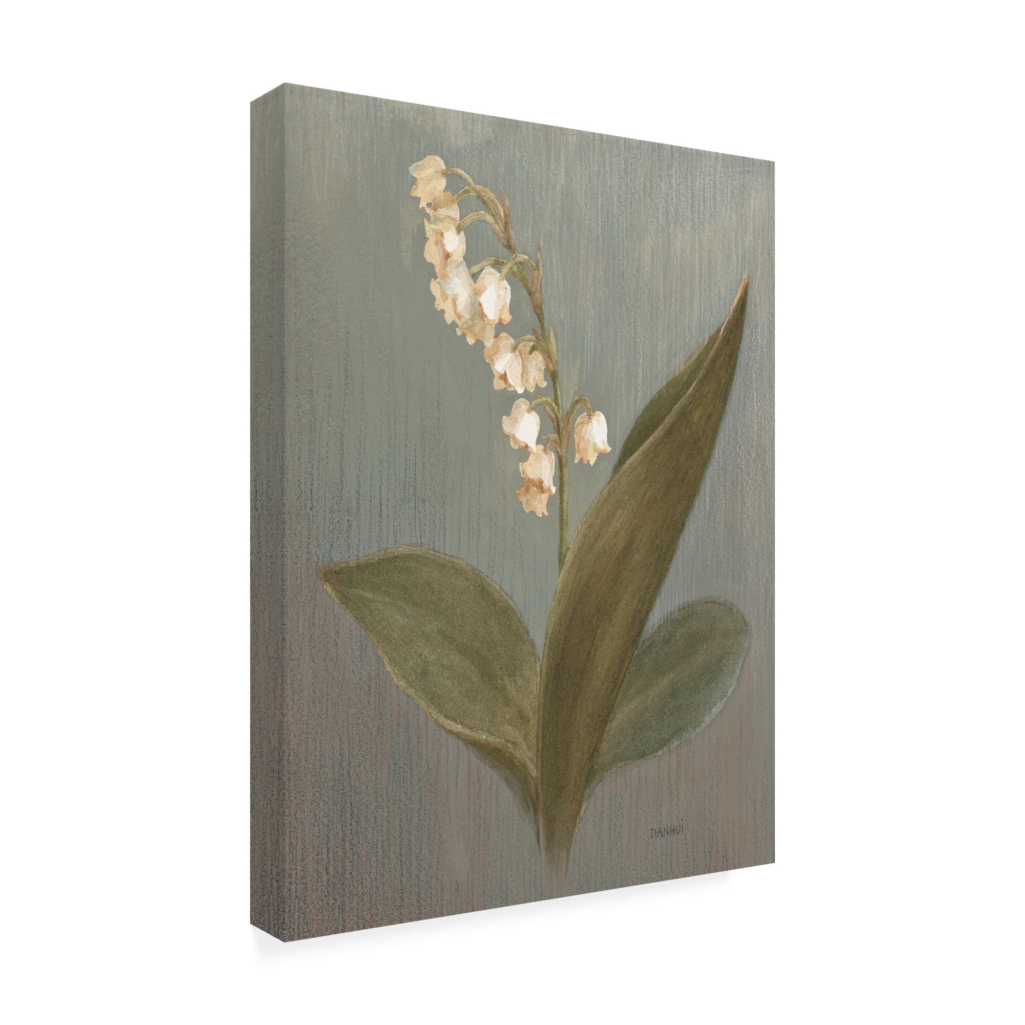Trademark Fine Art 'May Lily of the Valley Green' Canvas Art by Danhui Nai