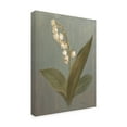thumbnail image 3 of Trademark Fine Art 'May Lily of the Valley Green' Canvas Art by Danhui Nai, 3 of 3