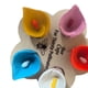 thumbnail image 3 of Alimentador para Abejas 5 Uds. Insectos Forma Apicultura, 3 of 9