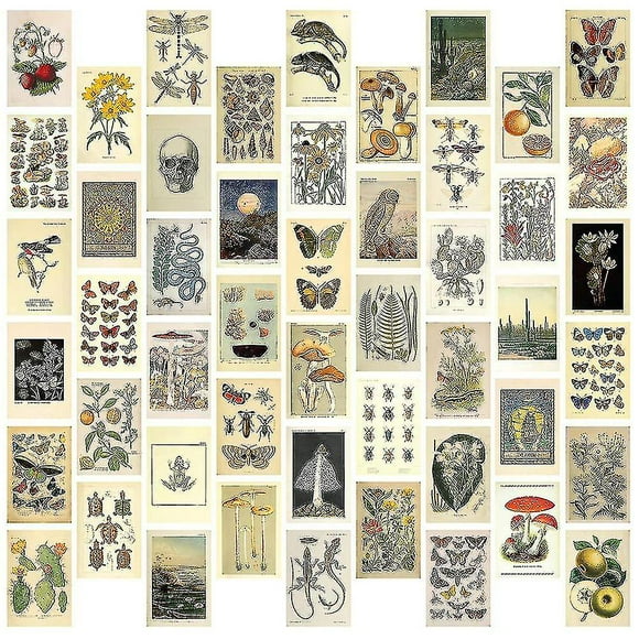 Vintage Aesthetic Wall Collage Kit - 50 Mini Botanical Cottagecore Collage Art Posters (4x6inch), F-haoyi