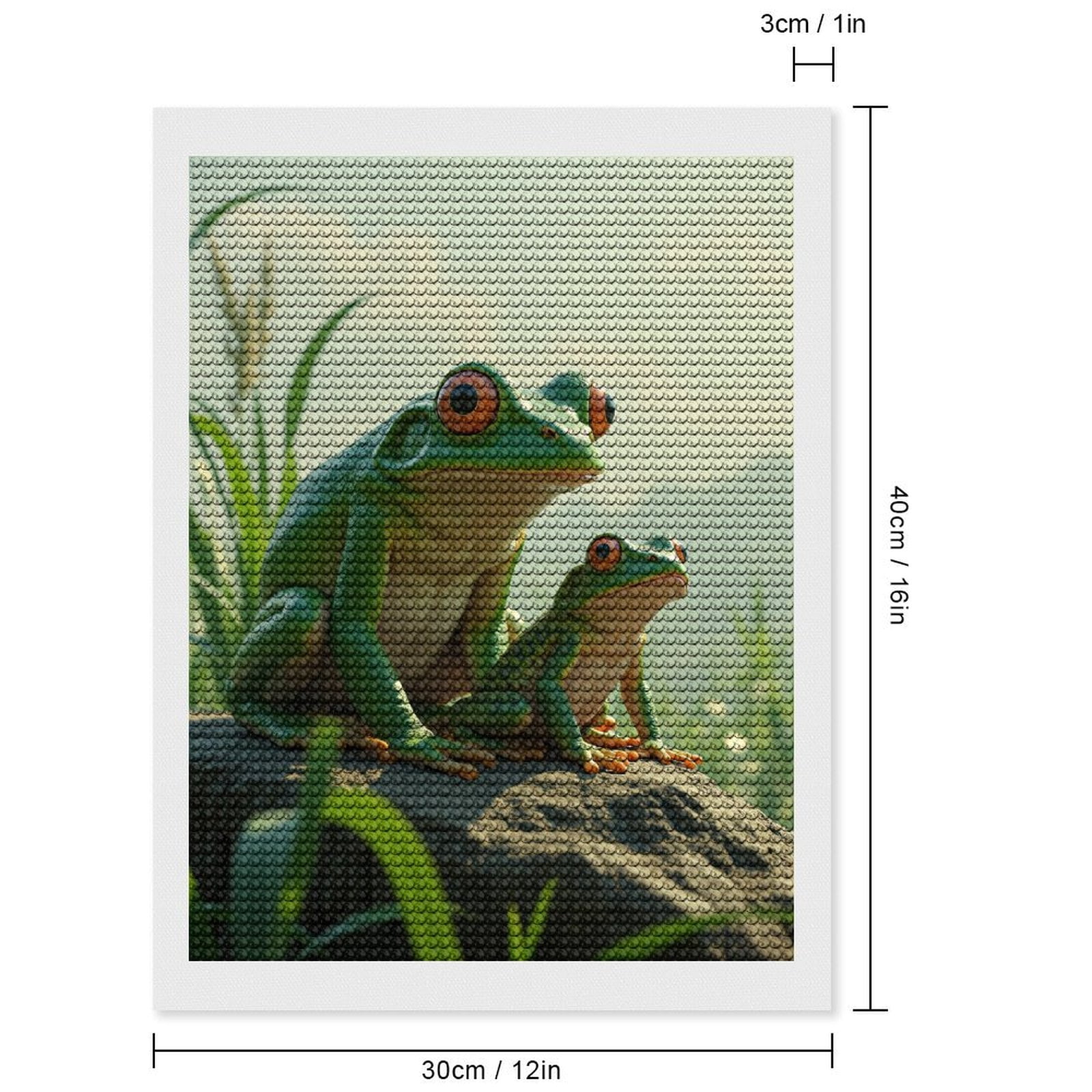 Diamond Art Kits for Adults, Frogs On Rock Green Landscape 5D Diamond Painting Kits for Adults Beginners, DIY Full Drill Diamond Painting, Gem Art and Crafts 12x16