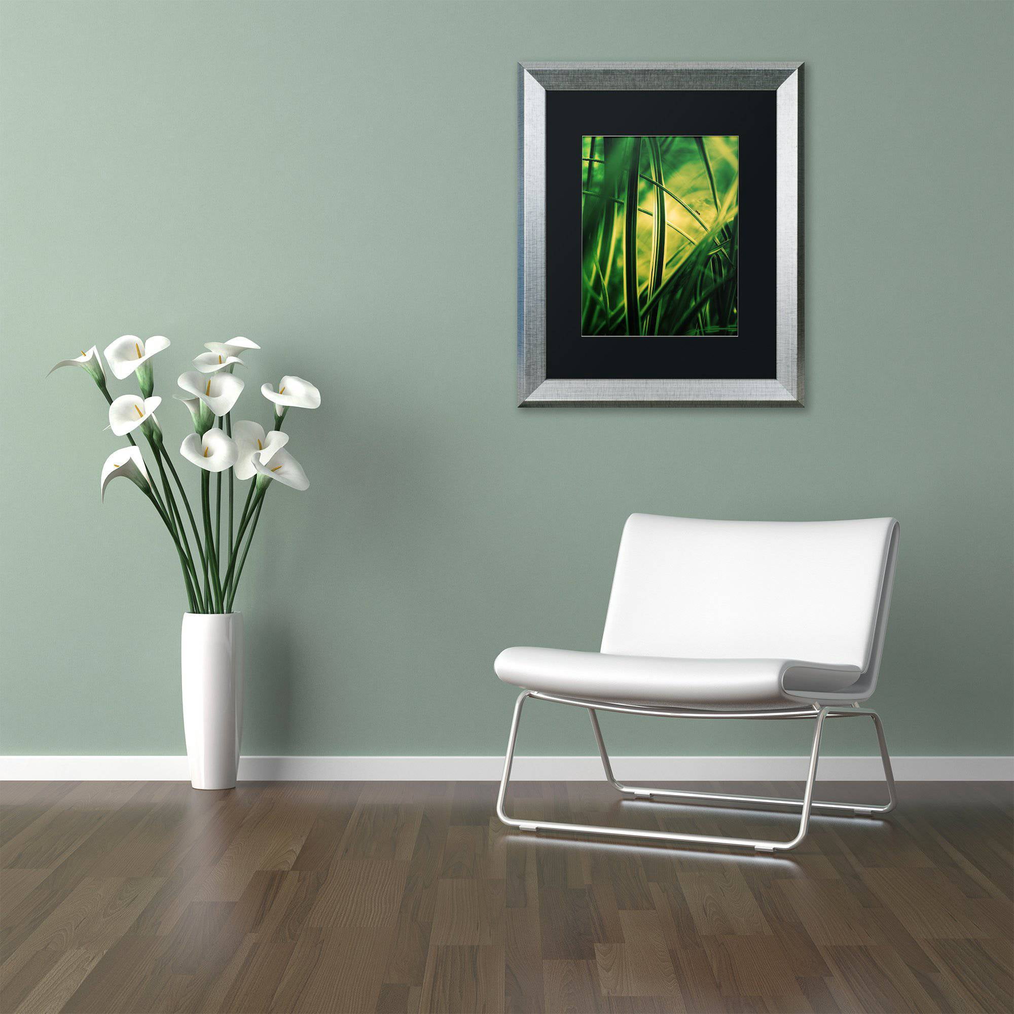 Trademark Fine Art "Miniature" Canvas Art by Philippe Sainte-Laudy Black Matte, Silver Frame