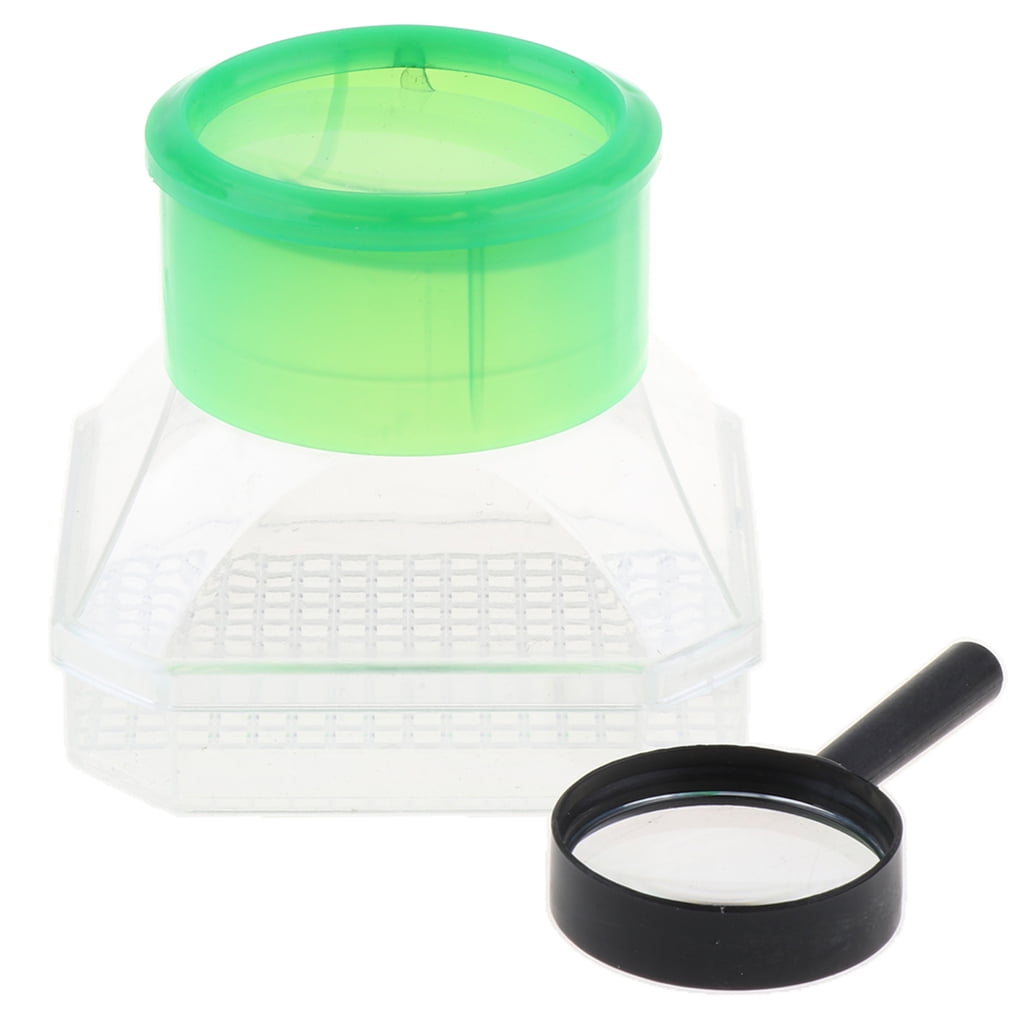 Plastic Observing Box Magnifier Exploring Nature Insect Bug Toy Educational