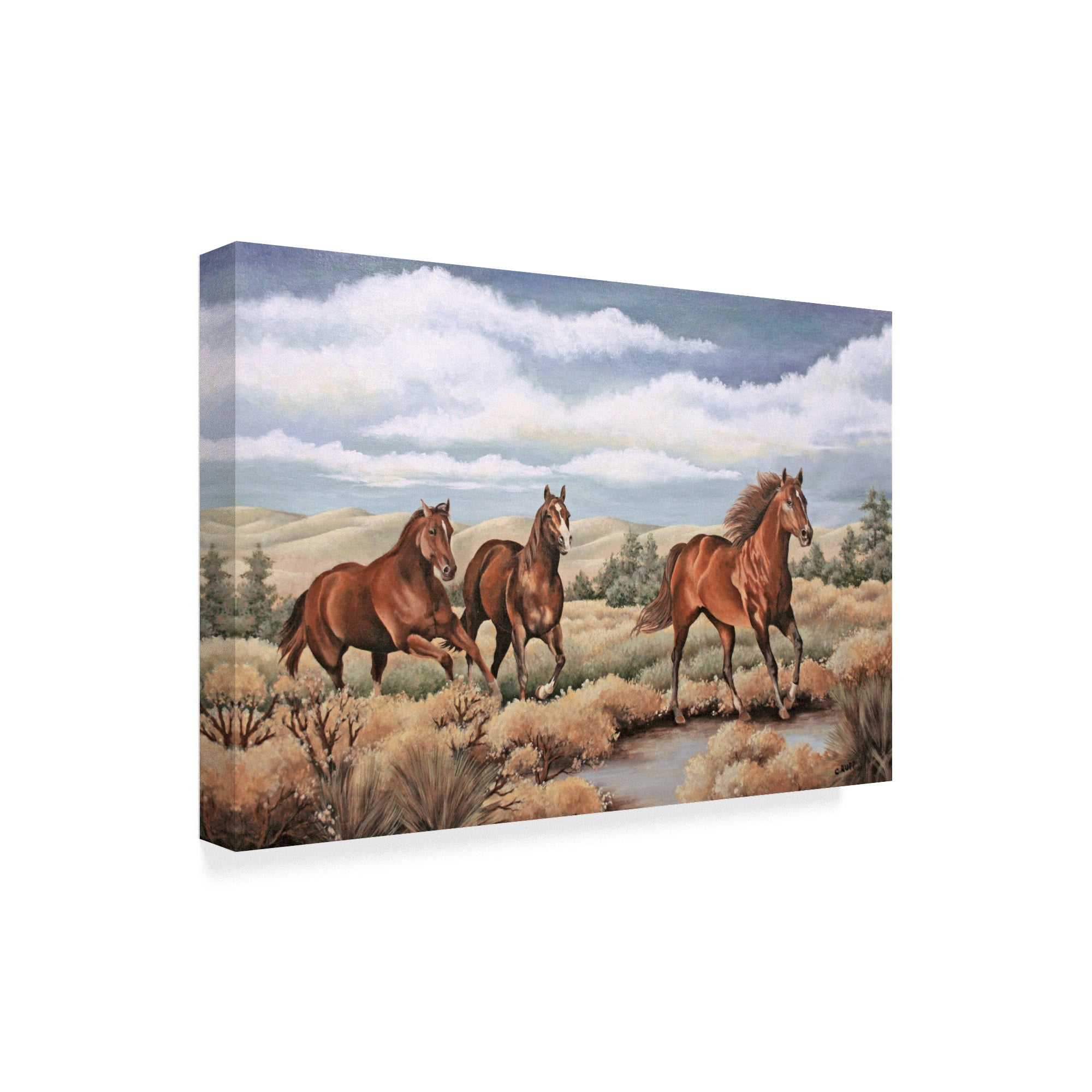 Trademark Fine Art 'Spirit of the Southwest' Canvas Art by Carol J Rupp