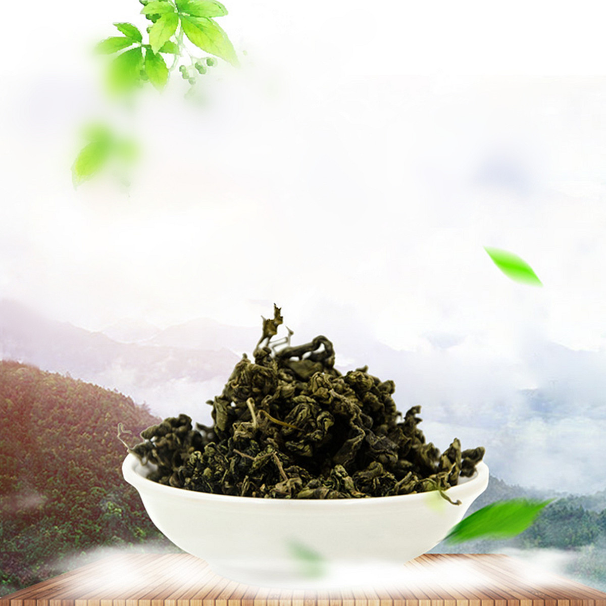 Baum Des Jahres Die Stechpalme Ist Auch In Lippe Verbreitet Baum Des Jahres Die Stechpalme Ist Auch In Lippe Verbreitet