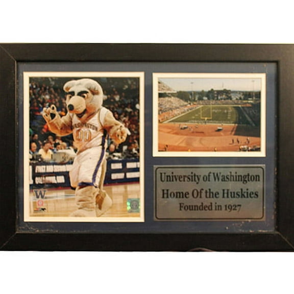NCAA University of Washington Photo Stat Frame, 12x18