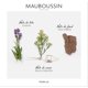 thumbnail image 4 of Perfume Mauboussin Pour Lui Eau de Parfum 100 ml para Hombre, 4 of 4