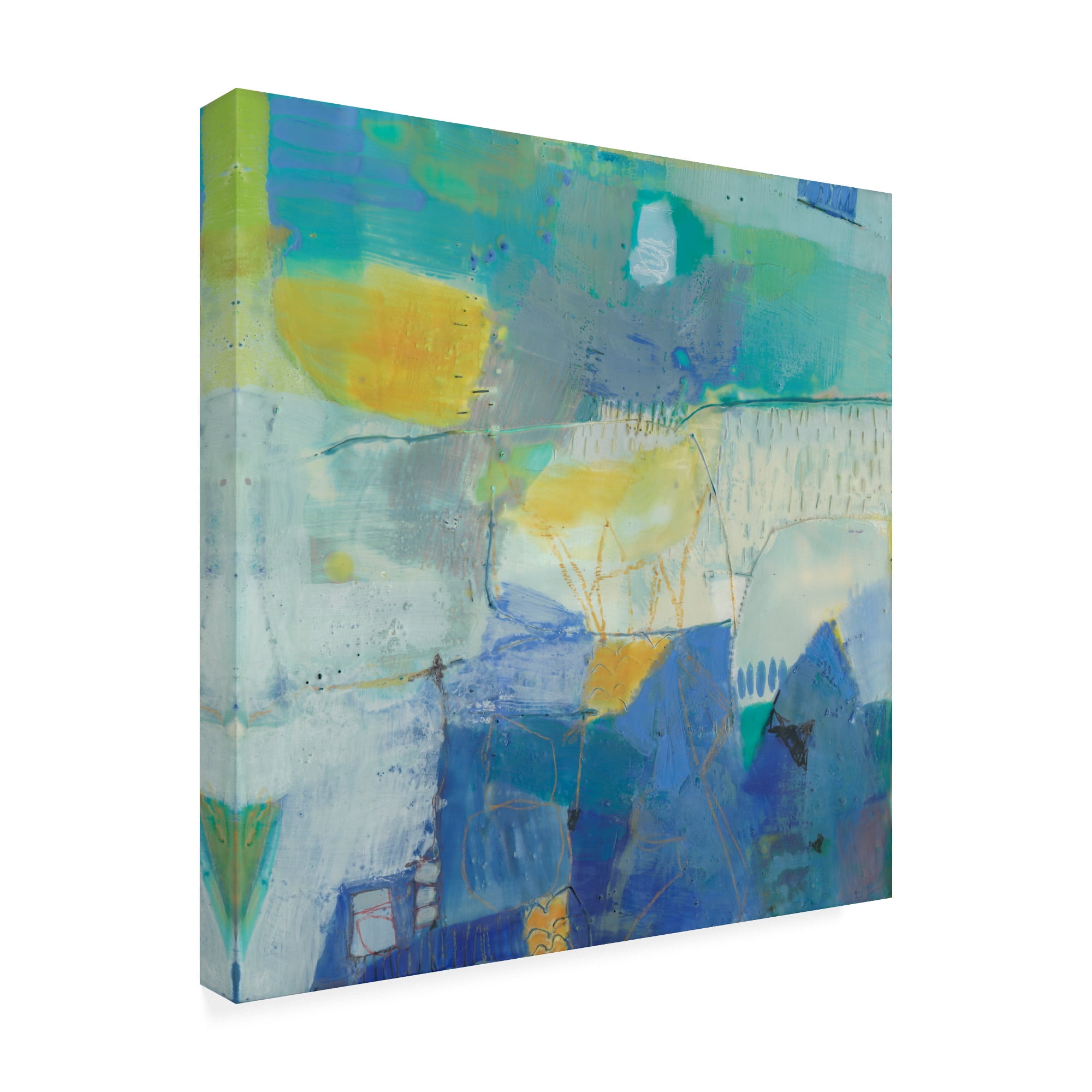 Trademark Fine Art 'Brontide I' Canvas Art by Sue Jachimiec