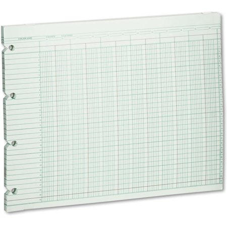 Wilson Jones G1020 Accounting Sheets, 20 Column, 9-1/4 x 11-7/8, 100 Loose Sheets/Pack, Green