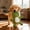 Green, variant on Interactive Dog Squeaky Plush Toy With Crinkle Paper Sound, Green Frog Design, Fun Chew Toy For Dogs, Pet Plaything For Mental Stimulation, Dog Toy For Indoor Outdoor Play, Dog