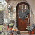 thumbnail image 4 of Xmas Rooster Chicken Wreath, Artificial Branches Green Leaves Garland for Front Door, 4 of 5