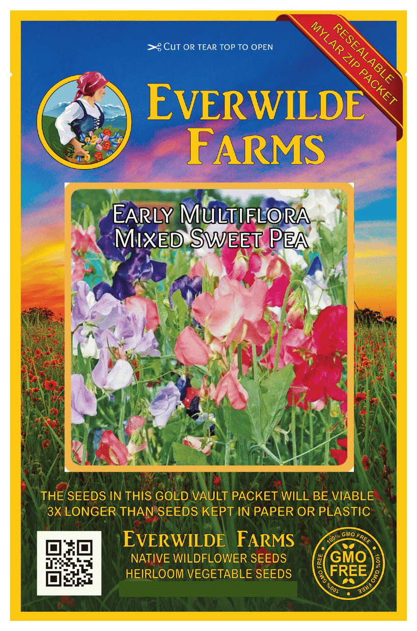 Vintage Stationery ~*~ Current ~*~ Fold A Note ~*~ Sweet Peas /& Nasturtiums ~*~ In The Garden
