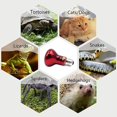 thumbnail image 4 of 2 bombillas térmicas para reptiles, lámpara térmica infrarroja duradera, bombilla térmica roja para mascotas, para reptiles, anfibios, lagartos, tortugas, 220-230 V, 4 of 4