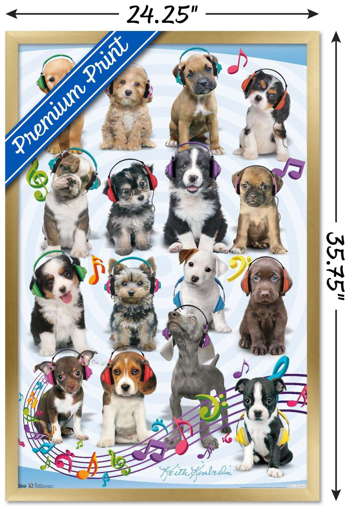 Keith Kimberlin - Puppies - Headphones Wall Poster, 22.375" x 34", Framed