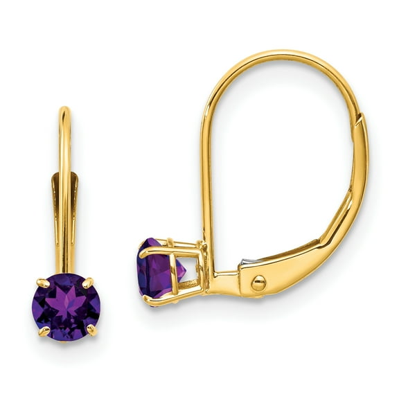 14k Amethyst Earrings - February 14k Yellow Gold Earrings