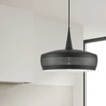 thumbnail image 2 of Dainolite 1 Light Incandescent Pendant, Matte Black, 2 of 2