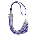 thumbnail image 5 of Endea Graduation Purple/Silver Mixed Color Graduation Tassel with Silver Date Drop, 5 of 11