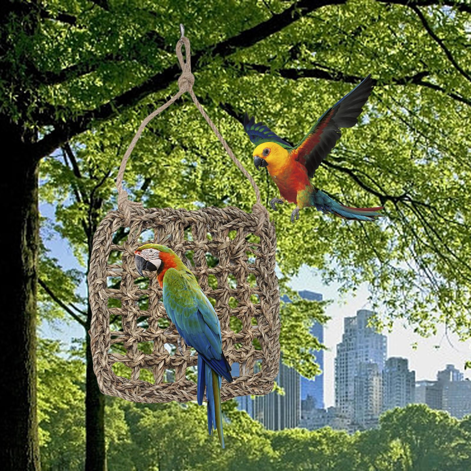 Climbing Ladder Hammock Playing Gym Bird Rope Nets for Canaries Finches Cockatoo S