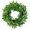 As show in picture 2, variant on Ludlz 12" Artificial Green Leaves Wreath Boxwood Wreath,Greenery Hanging Leaves Wreath Artificial Spring Summer Wreath Decorations for Window Front Door Festival Celebration Party Home Decor