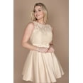 thumbnail image 3 of Dylan & Davids Short Homecoming Formal Prom Dress, 3 of 4