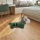 thumbnail image 4 of Albornoz para perros, , cálido, de secado súper rápido, microfibra, accesorios para cachorros, toalla de baño suave, toalla de secado, - M Sunnimix bata de baño, 4 of 8