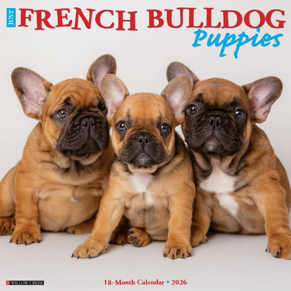 French Bulldog Puppies 2026 Wall Calendar