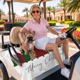thumbnail image 3 of Golf Cart Seat Covers for 2 Seater,Christmas Trees Microfiber Cart Seat Towel Blanket,Xmas Winter Leopard Printed Plaid Pine Absorbent Breathable NonSlip Bench Seats Protector for Golf Course 51"x31", 3 of 9