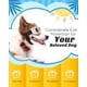thumbnail image 4 of Gafas para perros: gafas de sol ajustables blancas para mascotas, gafas protectoras anti-UV a prueba de polvo, impermeables a prueba de viento para perros pequeños y medianos, 4 of 5
