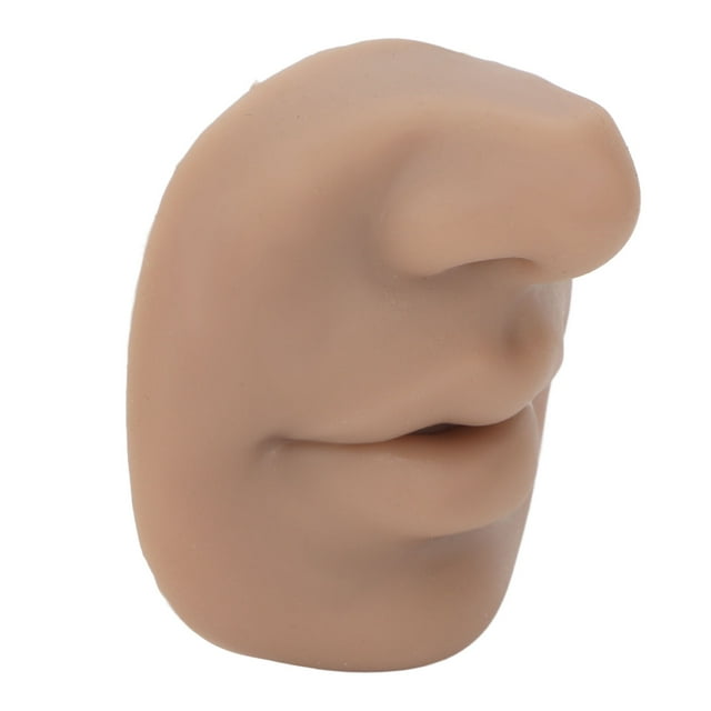 Ear Kit, Silicone Simulation Body Practice Model, Nose and Mouth Model, Model with Mouth for Practice Teaching