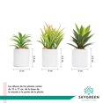 thumbnail image 3 of Paquete De 3 Plantas Pequeñas Artificiales Decoracion Hogar SKY GREEN HJ3P3P210001, 3 of 6