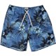 thumbnail image 1 of Quiksilver Seasalt Volley Bañador para Hombre, Azul, X-Large, 1 of 2