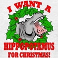 thumbnail image 3 of CafePress - Hippopotamus For Christmas Kids Light T Shirt - Light T-Shirt Kids XS-XL, 3 of 4