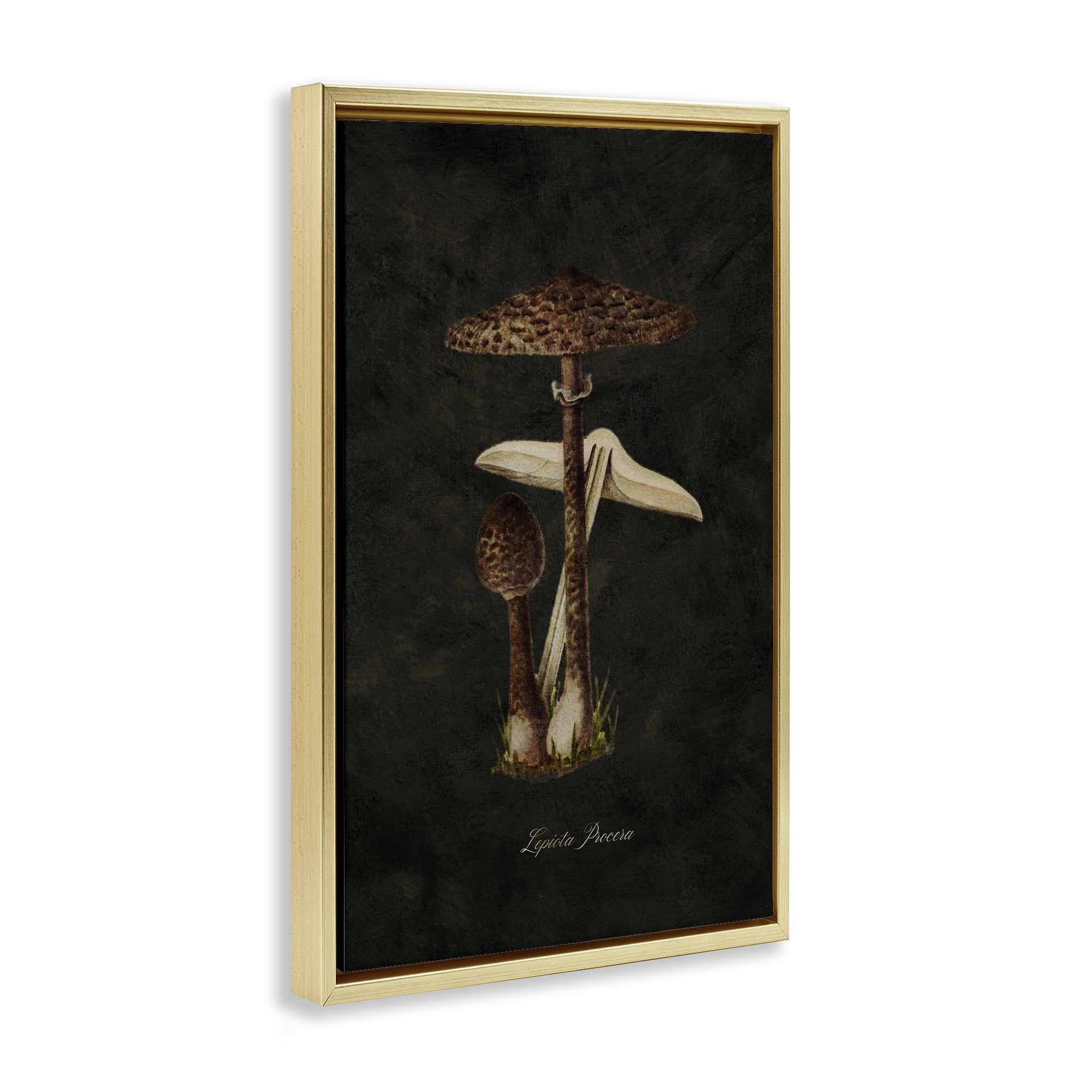 Stupell Industries Dark Woodland Mushroom Plants & Flowers Painting Gold Floater Framed Canvas Art Print Wall Art, 21 x 31