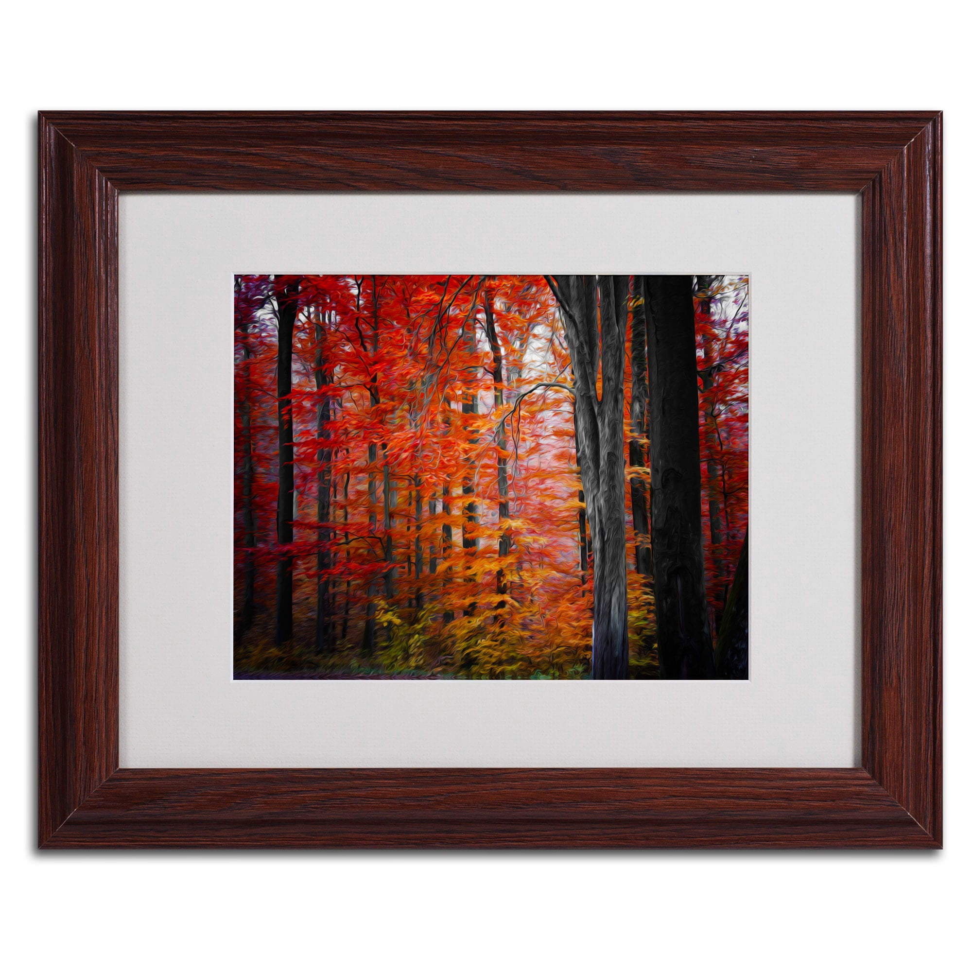 Trademark Fine Art "No Title" Canvas Art by Philippe Sainte-Laudy, Wood Frame