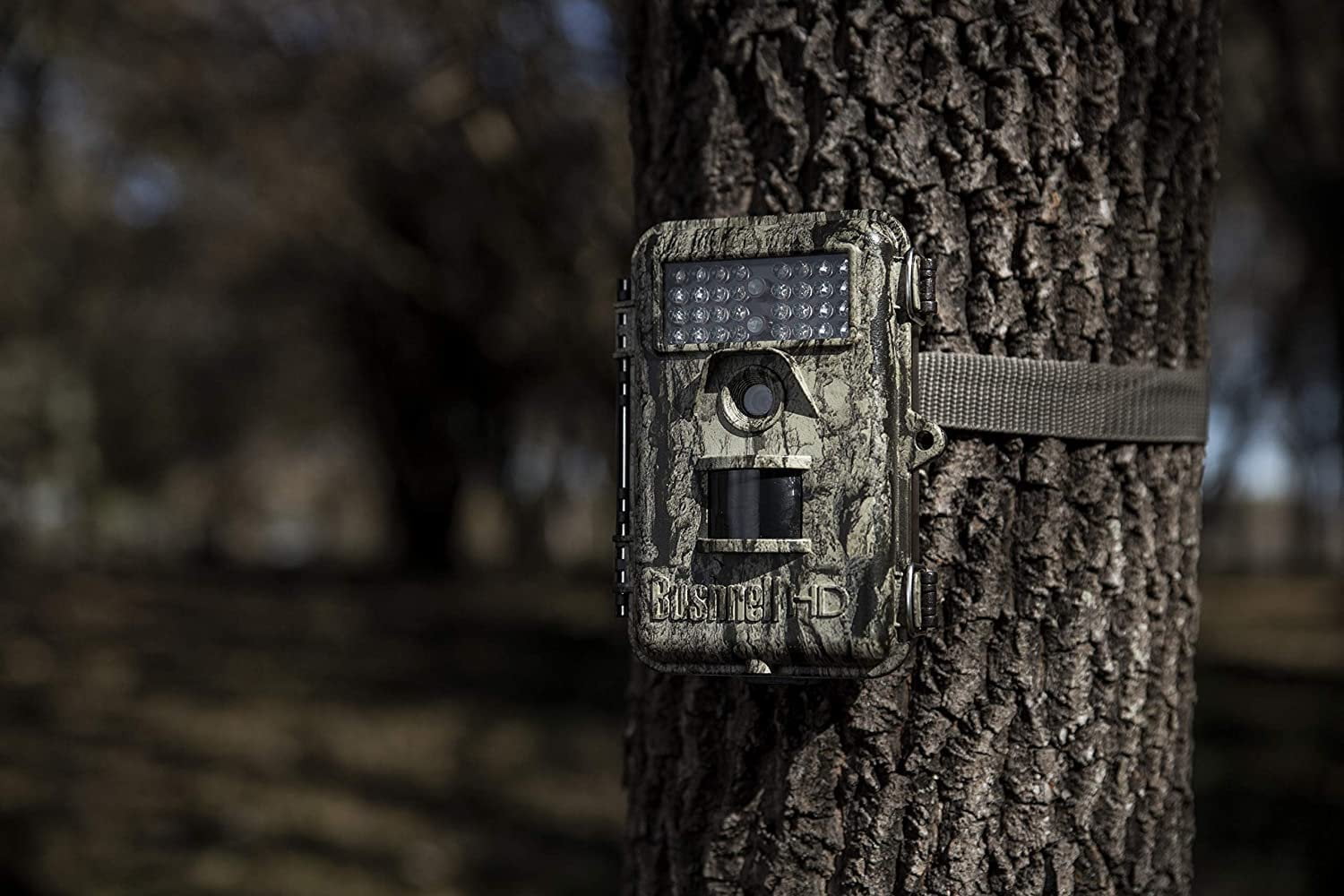 Bushnell Trophy Trail Camera, 20MP Low Glow Hunting Game Camera